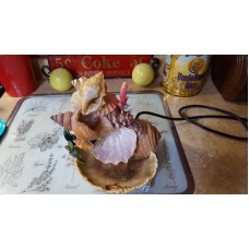 Vintage Small Seashell Fountain With Music Box and works great see video   362413826538
